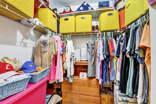 2700 Bayshore Blvd Unit 544, Dunedin, FL 34698 - spacious closet with wood finished floors