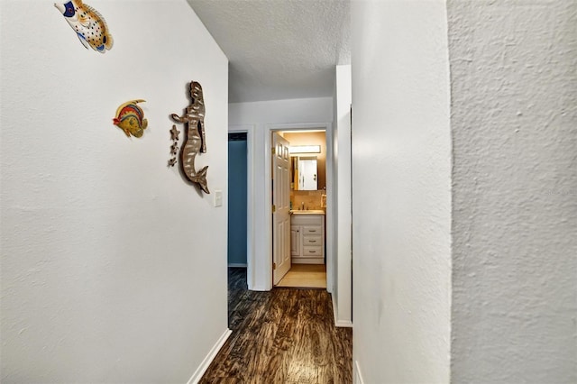 2700 Bayshore Blvd Unit 544, Dunedin, FL 34698 - hallway featuring wood finished floors and a textured ceiling