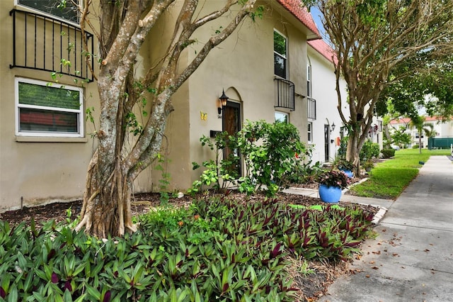 2700 Bayshore Blvd Unit 544, Dunedin, FL 34698 - view of side of property featuring stucco siding