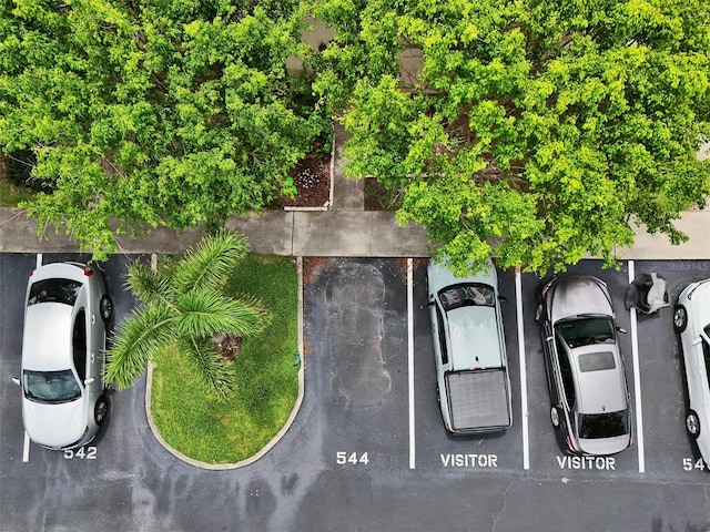 2700 Bayshore Blvd Unit 544, Dunedin, FL 34698 - bird's eye view