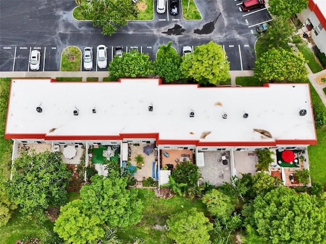 2700 Bayshore Blvd Unit 544, Dunedin, FL 34698 - aerial view of property's location featuring property boundaries highlighted