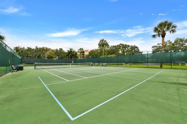 2700 Bayshore Blvd Unit 544, Dunedin, FL 34698 - view of tennis court