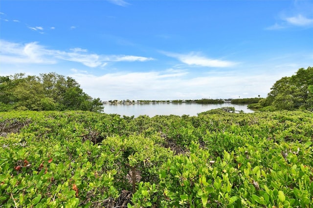 2700 Bayshore Blvd Unit 544, Dunedin, FL 34698 - water view