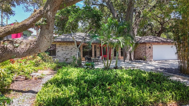 2439 Madrid Ave, Safety Harbor, FL 34695 - photo 2