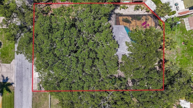 2439 Madrid Ave, Safety Harbor, FL 34695 - photo 49
