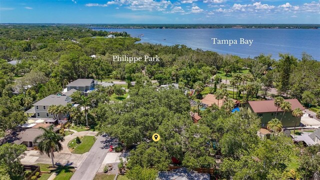 2439 Madrid Ave, Safety Harbor, FL 34695 - photo 50