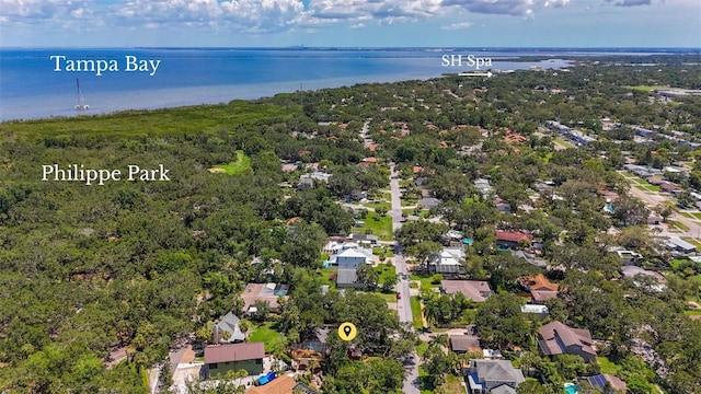 2439 Madrid Ave, Safety Harbor, FL 34695 - photo 51