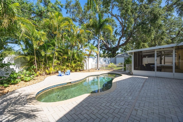 4521 S Cooper Pl, Tampa, FL 33611 - view of pool with a sunroom and a patio area