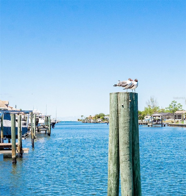 835 Symphony Isles Blvd, Apollo Beach, FL 33572 - dock area with boat lift and a water view