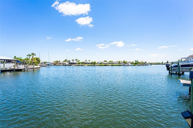 835 Symphony Isles Blvd, Apollo Beach, FL 33572 - water view featuring a dock