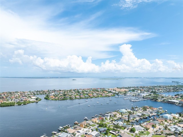 835 Symphony Isles Blvd, Apollo Beach, FL 33572 - aerial perspective of suburban area with a large body of water