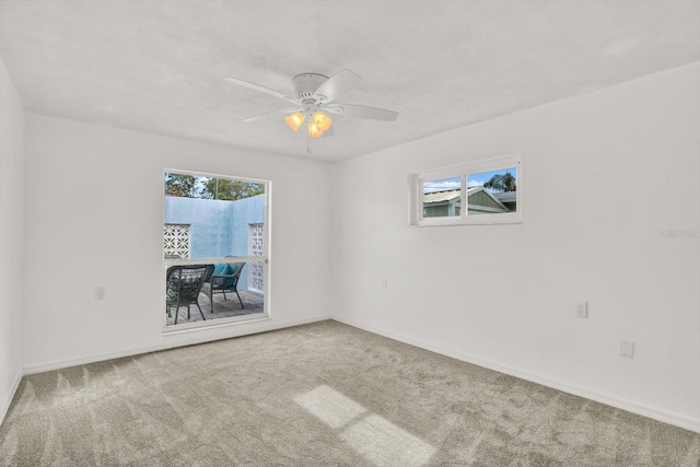 304 Westwinds Dr, Palm Harbor, FL 34683 - photo 21
