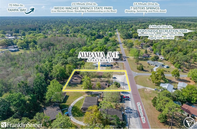 4111 S Alabama Ave, Homosassa, FL 34446 - photo 2