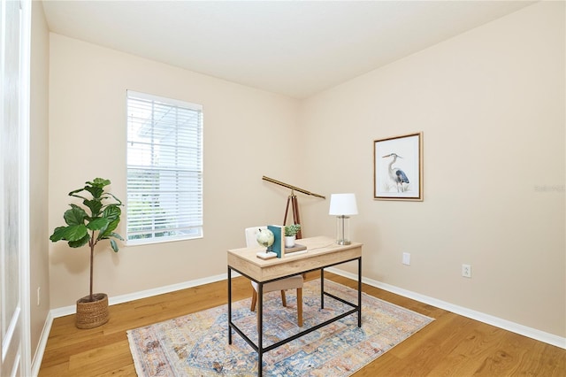15412 Carrillon Estates Blvd, Tampa, FL 33625 - office space featuring light wood finished floors and baseboards