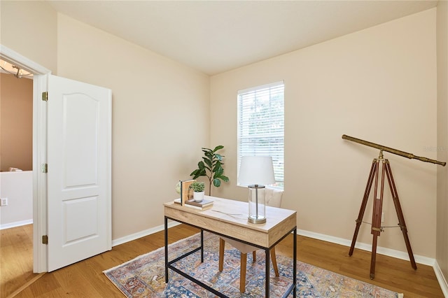 15412 Carrillon Estates Blvd, Tampa, FL 33625 - home office featuring wood finished floors