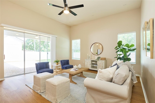 15412 Carrillon Estates Blvd, Tampa, FL 33625 - living room featuring wood finished floors, plenty of natural light, and ceiling fan
