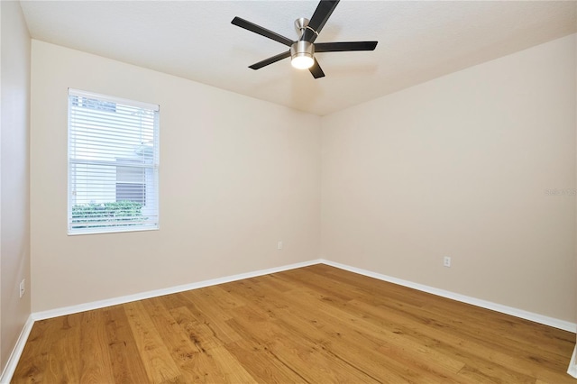 15412 Carrillon Estates Blvd, Tampa, FL 33625 - empty room with light wood-style flooring and ceiling fan