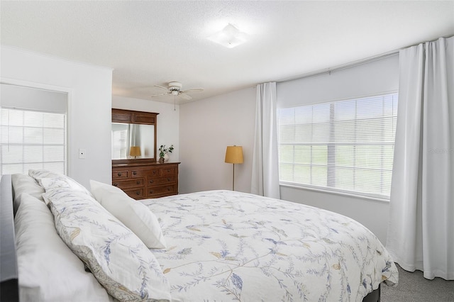 235 Old Welcome Rd, Lithia, FL 33547 - bedroom featuring multiple windows, carpet floors, and a ceiling fan