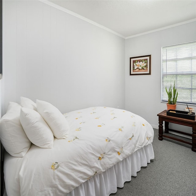 235 Old Welcome Rd, Lithia, FL 33547 - carpeted bedroom featuring ornamental molding and baseboards