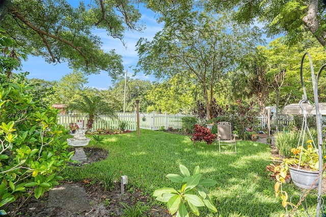 235 Old Welcome Rd, Lithia, FL 33547 - view of yard