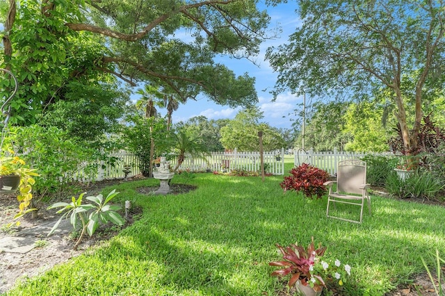 235 Old Welcome Rd, Lithia, FL 33547 - view of yard
