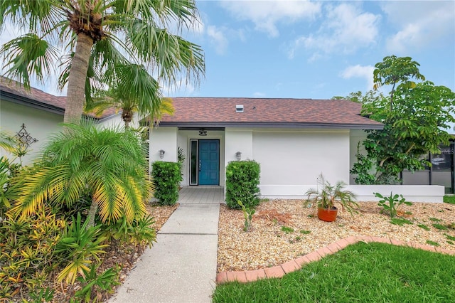 8635 Chadwick Dr, Tampa, FL 33635 - photo 5