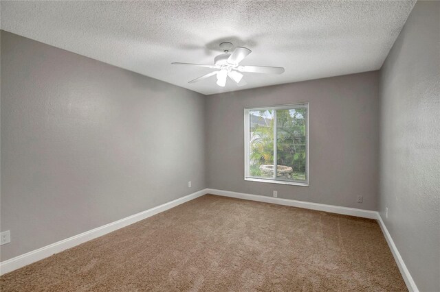 8635 Chadwick Dr, Tampa, FL 33635 - photo 31