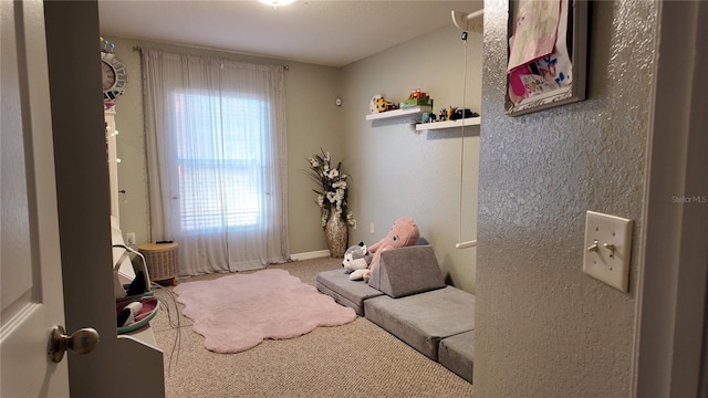 270 Planter Rd, Spring Hill, FL 34606 - sitting room featuring carpet and baseboards