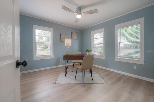 811 W Peninsular St, Tampa, FL 33603 - office area featuring light wood finished floors, crown molding, and a ceiling fan