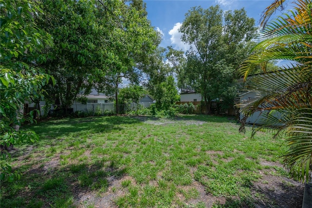811 W Peninsular St, Tampa, FL 33603 - view of yard