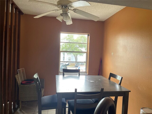 7192 E Bank Dr, Tampa, FL 33617 - photo 23