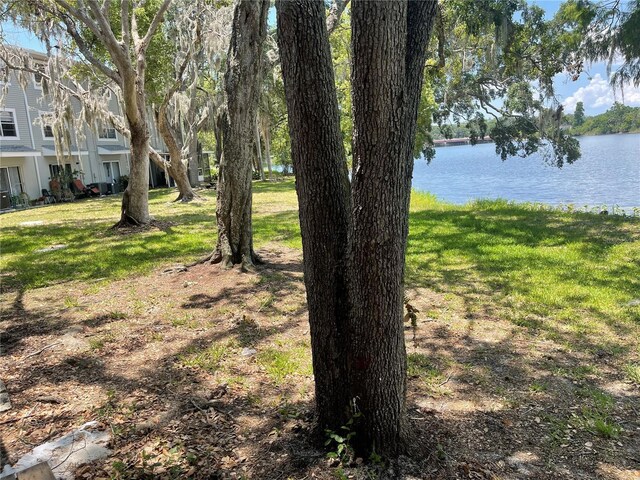 7192 E Bank Dr, Tampa, FL 33617 - photo 29