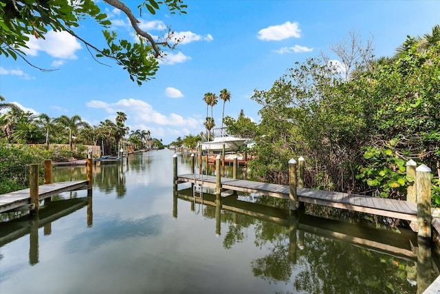 501 De Narvaez Dr, Longboat Key, FL 34228 - photo 42
