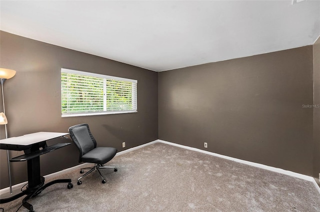 1763 Pebble Hill Ct, Palm Harbor, FL 34683 - carpeted office featuring baseboards