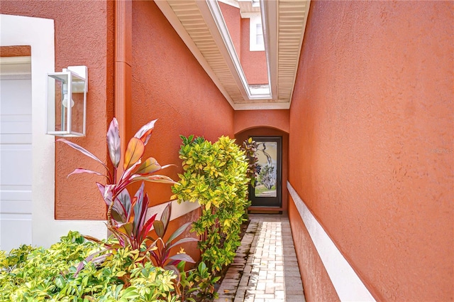 11010 Blaine Top Pl, Tampa, FL 33626 - photo 2
