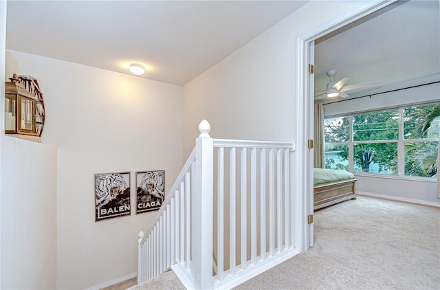 11010 Blaine Top Pl, Tampa, FL 33626 - photo 15