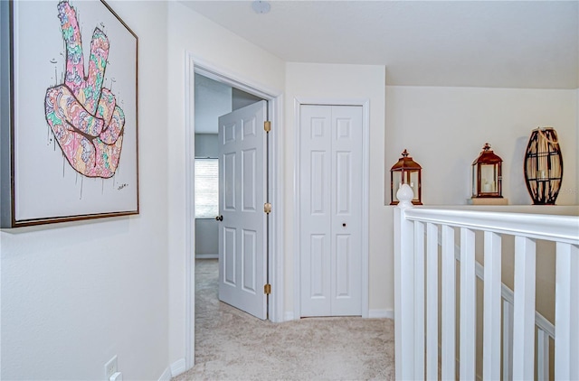 11010 Blaine Top Pl, Tampa, FL 33626 - photo 21