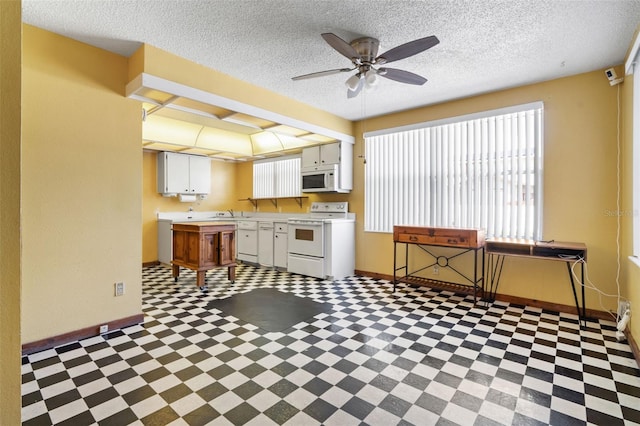 1701 N Tampania Ave, Tampa, FL 33607 - photo 10