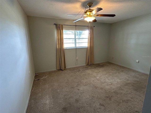 10116 Tulip St N Unit 10116, Pinellas Park, FL 33782 - photo 12