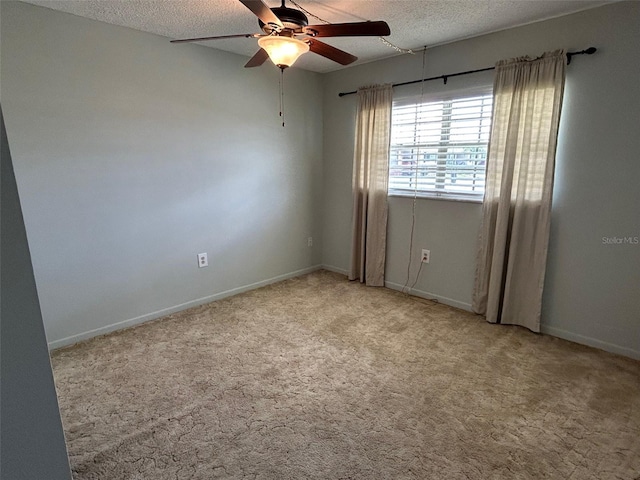 10116 Tulip St N Unit 10116, Pinellas Park, FL 33782 - photo 11