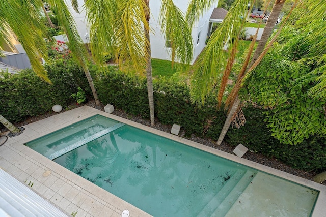 2711 W Trilby Ave, Tampa, FL 33611 - view of swimming pool with a pool with connected hot tub
