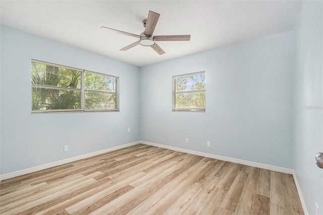 801 Lamont Pl, Temple Terrace, FL 33617 - empty room featuring healthy amount of natural light, light wood-type flooring, and ceiling fan