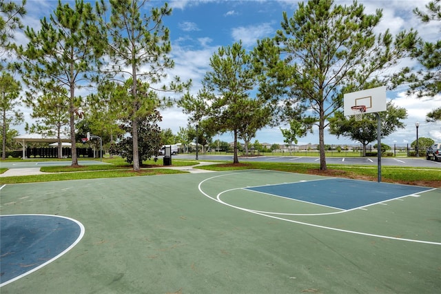 1601 Fox Grape Loop, Lutz, FL 33558 - view of basketball court with community basketball court