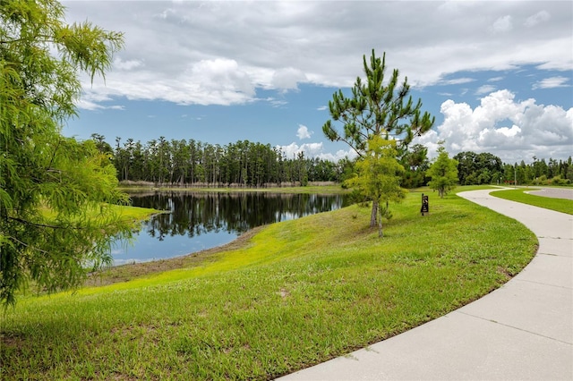 1601 Fox Grape Loop, Lutz, FL 33558 - water view