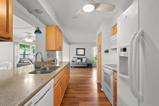 2875 Lomond Dr, Palm Harbor, FL 34684 - kitchen with white appliances, ceiling fan, dark wood finished floors, open floor plan, and hanging light fixtures
