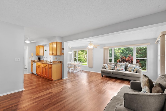 2875 Lomond Dr, Palm Harbor, FL 34684 - living area featuring ceiling fan, wood finished floors, and a textured ceiling