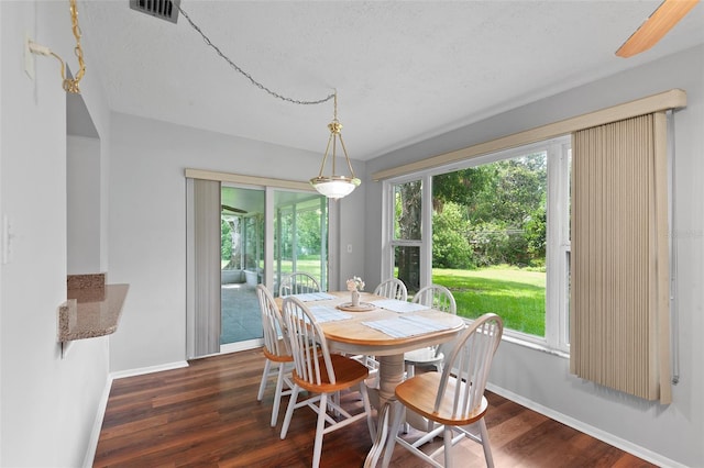 2875 Lomond Dr, Palm Harbor, FL 34684 - dining room with plenty of natural light, dark wood finished floors, and a textured ceiling