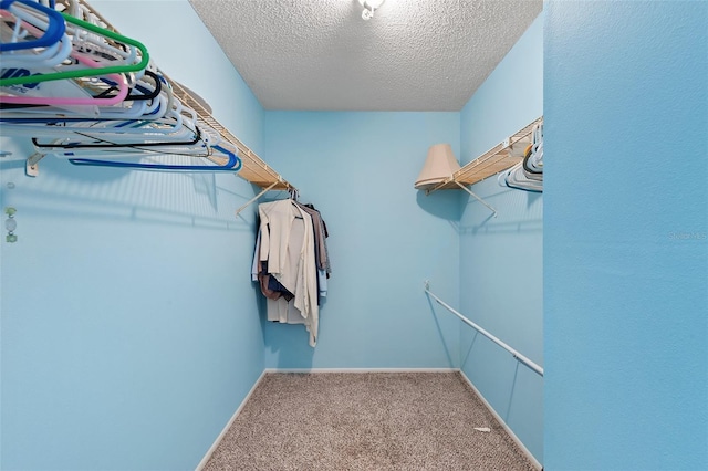 2875 Lomond Dr, Palm Harbor, FL 34684 - spacious closet with carpet flooring
