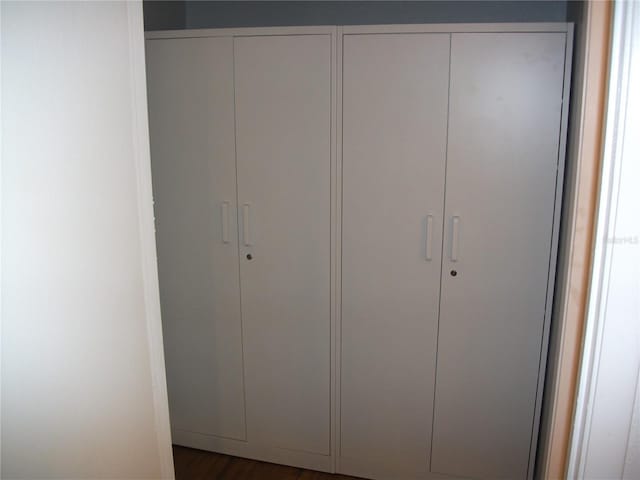 12411 Brookside St, Spring Hill, FL 34609 - view of closet