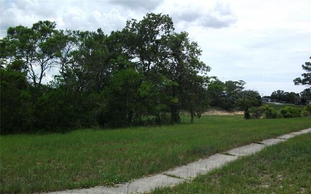 12411 Brookside St, Spring Hill, FL 34609 - view of street